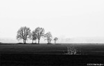 Simplistisch landschap nabij Hilvarenbeek