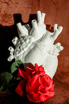Hart met rode roos, liefdesgedicht